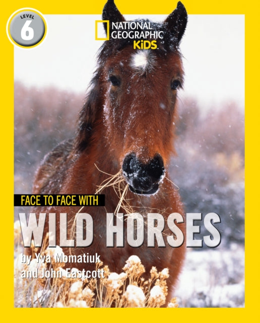 Face to Face with Wild Horses : Level 6-9780008358136
