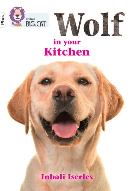 Wolf in your kitchen : Band 10+/White Plus-9780008485689