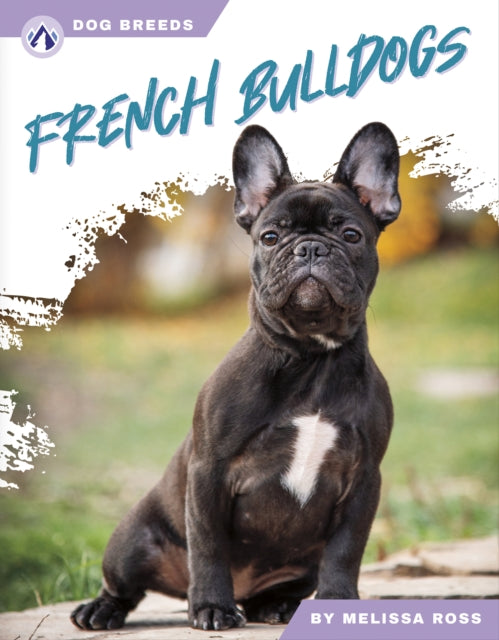French Bulldogs-9781637389485