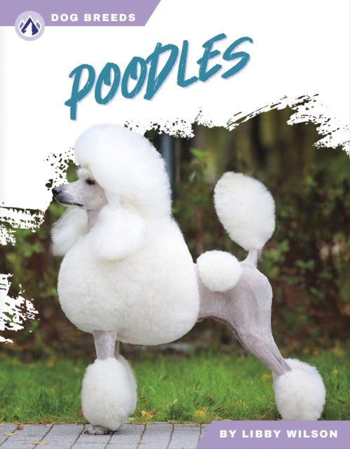 Poodles-9781637389522