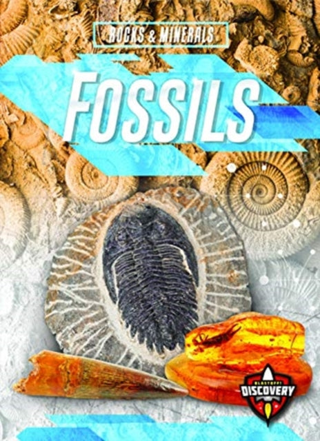Fossils-9781644870730