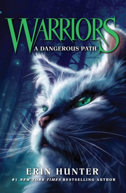 A Dangerous Path-9780007140060