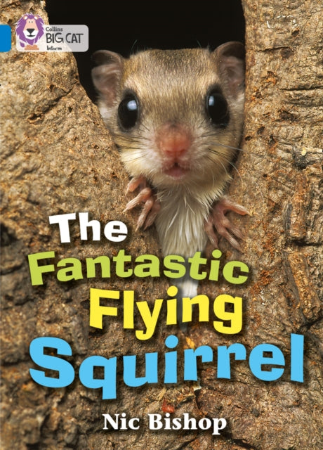 The Fantastic Flying Squirrel : Band 04/Blue-9780007185832