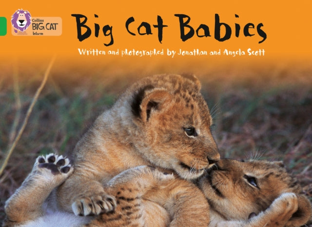 Big Cat Babies : Band 05/Green-9780007185948