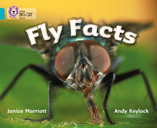 Fly Facts : Band 07/Turquoise-9780007186082