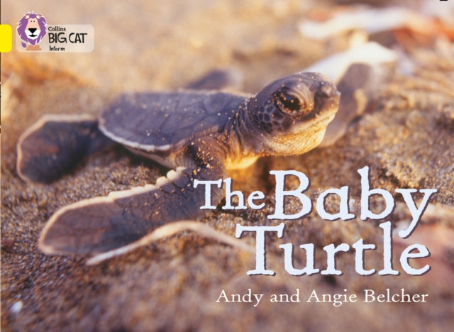 The Baby Turtle : Band 03/Yellow-9780007186594