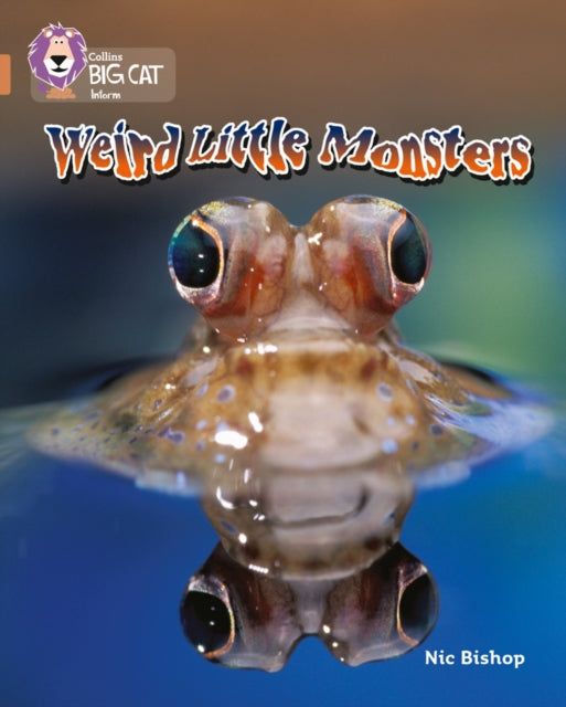 Weird Little Monsters : Band 12/Copper-9780007230808