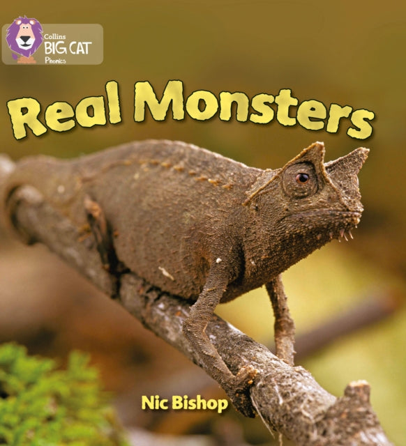 Real Monsters : Band 03/Yellow-9780007235988