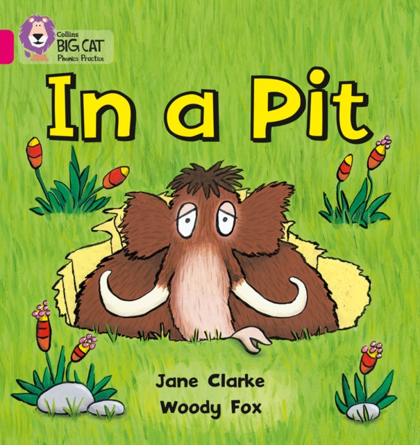 In a Pit : Band 01a/Pink a-9780007334889