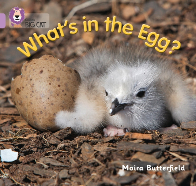 What's in the Egg? : Band 00/Lilac-9780007512607