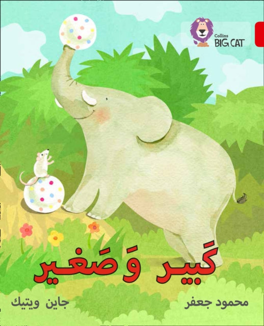 Big and Small : Level 2 (Kg)-9780008156282