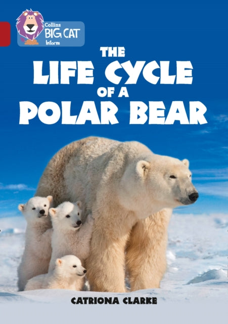 The Life Cycle of a Polar Bear : Band 14/Ruby-9780008208813