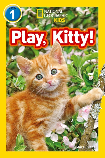 Play, Kitty! : Level 1-9780008266516