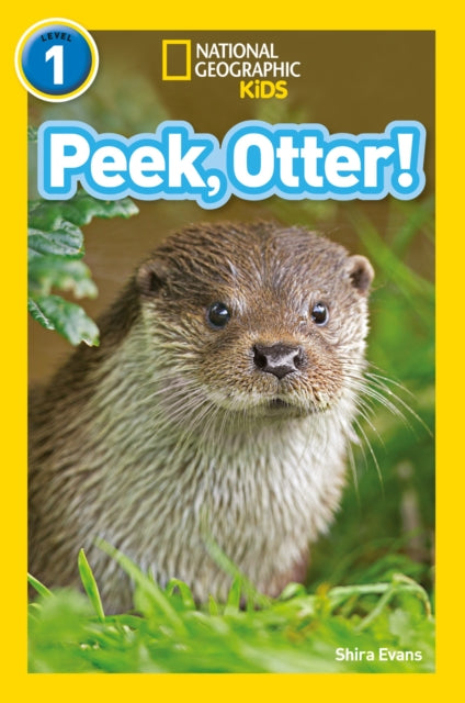 Peek, Otter! : Level 1-9780008266547