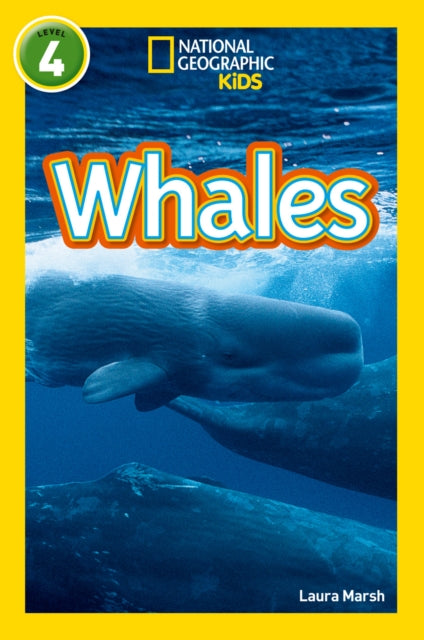 Whales : Level 4-9780008266820