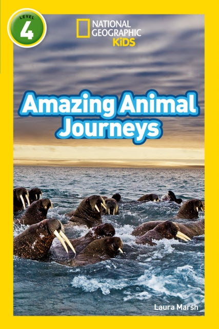 Amazing Animal Journeys : Level 4-9780008266868
