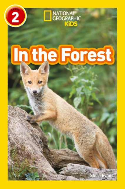 In the Forest : Level 2-9780008317201
