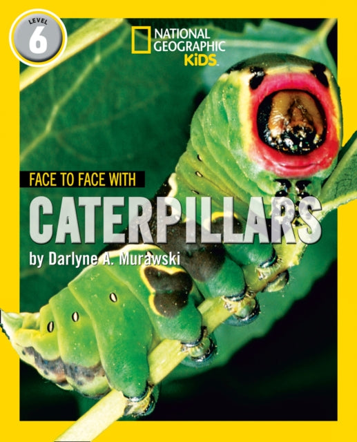 Face to Face with Caterpillars : Level 6-9780008358129