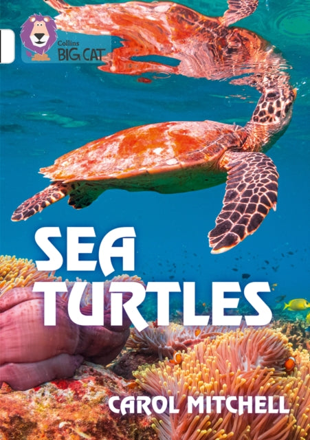 Sea Turtles : Band 10/White-9780008432201