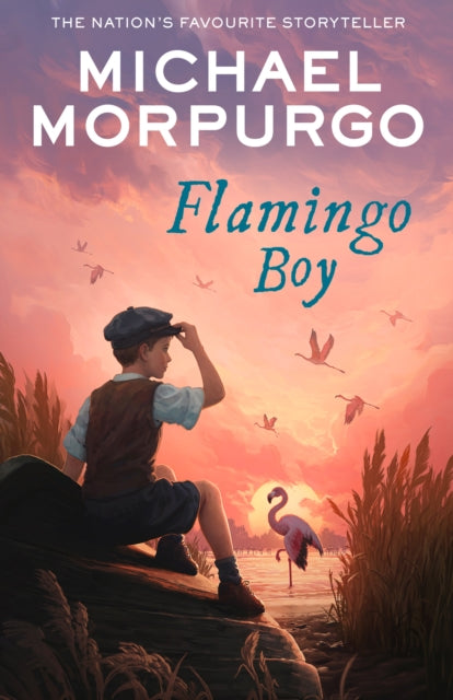Flamingo Boy-9780008638740