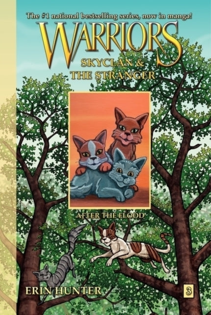 Warriors: SkyClan and the Stranger #3: After the Flood-9780062008381