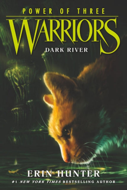 Warriors: Power of Three #2: Dark River-9780062367099