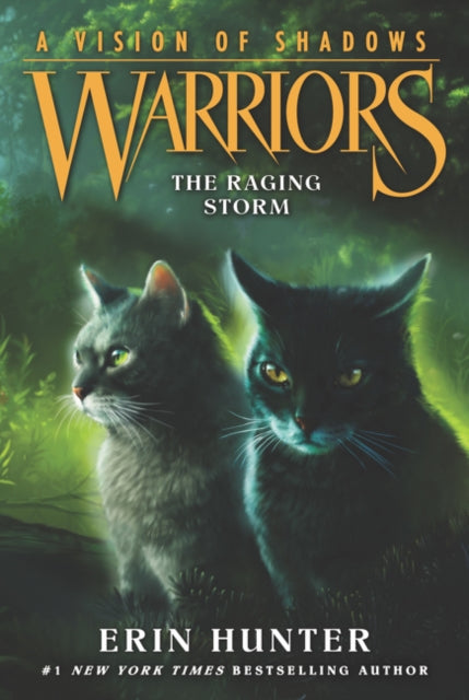Warriors: A Vision of Shadows #6: The Raging Storm-9780062386595