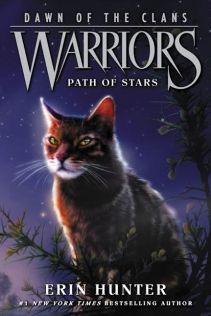 Warriors: Dawn of the Clans #6: Path of Stars-9780062410047