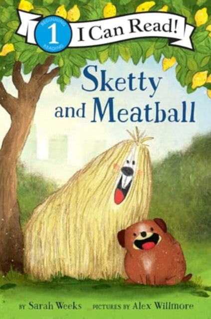 Sketty and Meatball-9780062431615