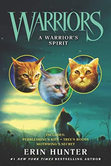 Warriors: A Warrior's Spirit-9780062857415