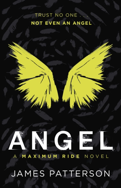 Angel: A Maximum Ride Novel : (Maximum Ride 7)-9780099543787