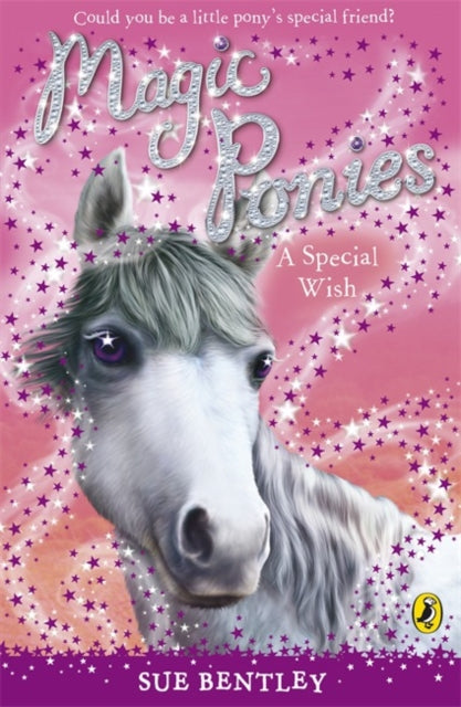 Magic Ponies: A Special Wish-9780141325941