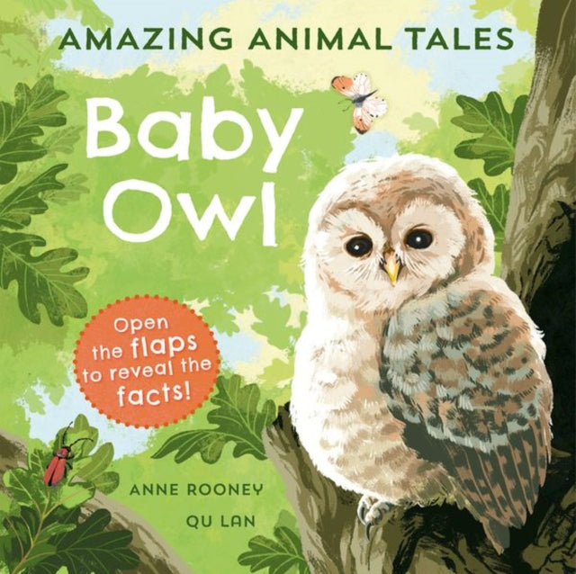 Amazing Animal Tales: Baby Owl-9780192780911