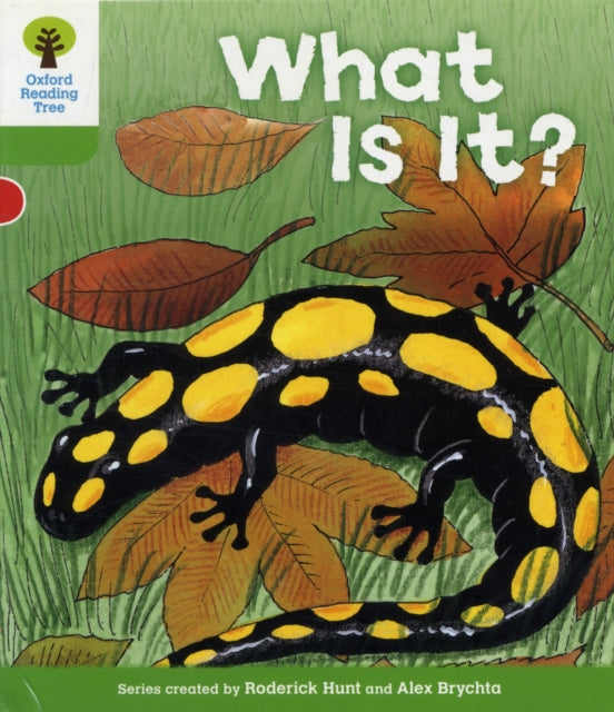 Oxford Reading Tree: Level 2: More Patterned Stories A: What Is It?-9780198481621