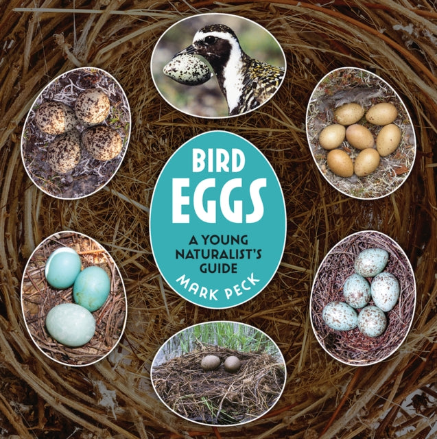 Bird Eggs : A Young Naturalist's Guide-9780228104827