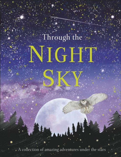 Through the Night Sky : A collection of amazing adventures under the stars-9780241355459