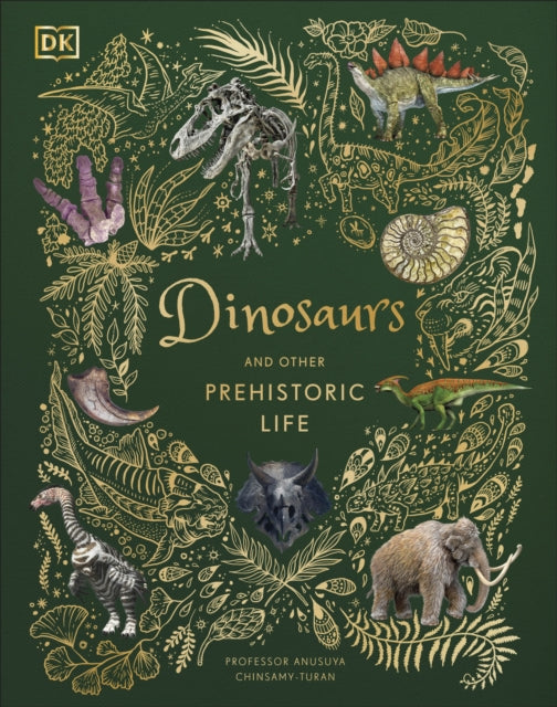 Dinosaurs and Other Prehistoric Life 9780241491621