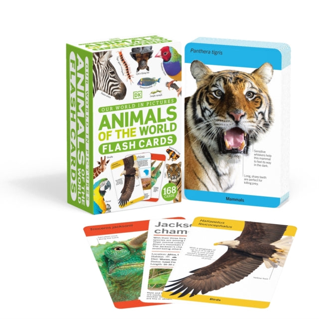 Our World in Pictures Animals of the World Flash Cards-9780241571156