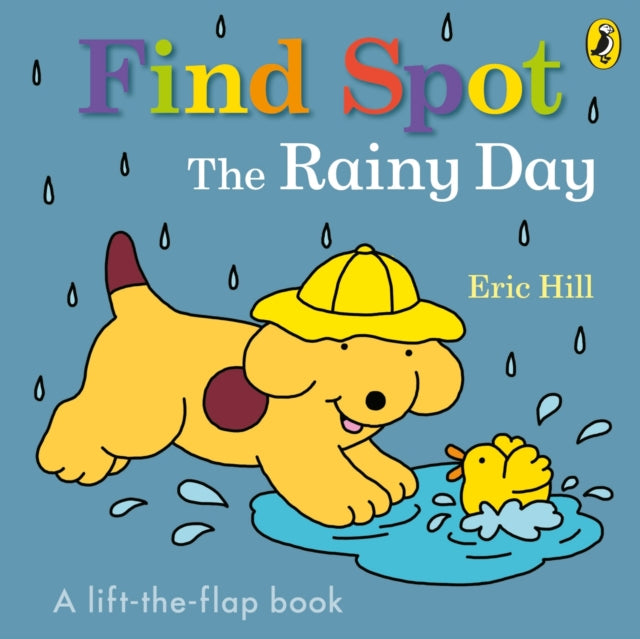 Find Spot: The Rainy Day : A Lift-the-Flap Story-9780241610138