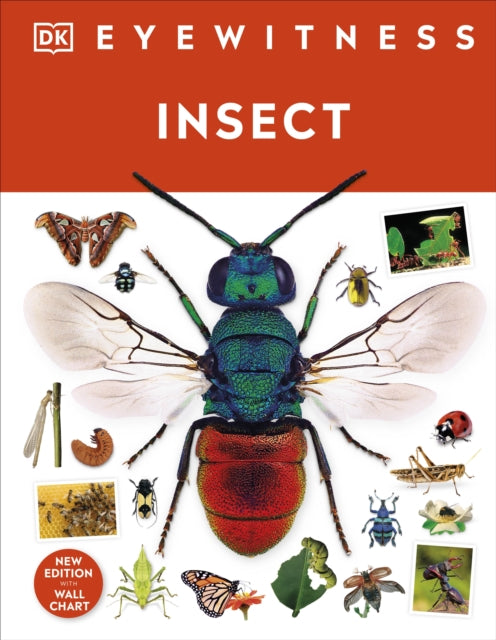 Insect-9780241617311
