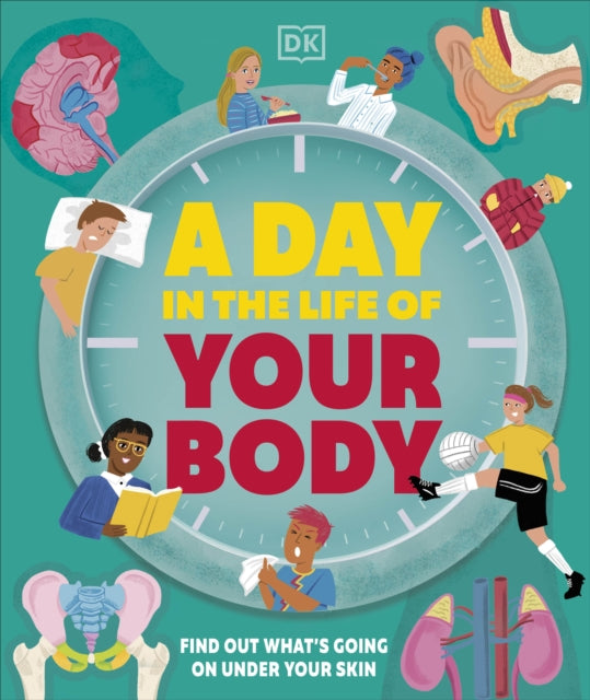 A Day in the Life of Your Body : Find Out What's Going on Under Your Skin-9780241683194
