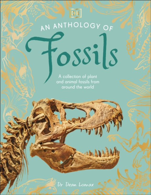 An Anthology of Fossils : A Collection of Plant and Animal Fossils From Around the World B2