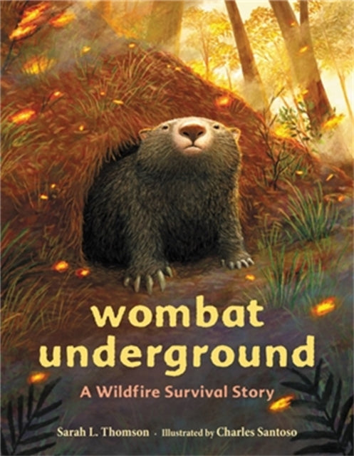 Wombat Underground : A Wildfire Survival Story-9780316707060