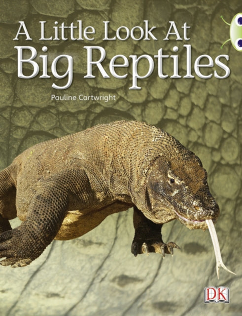 Bug Club Guided Non Fiction Year 1 Blue B A Little Look at Big Reptiles-9780433004387