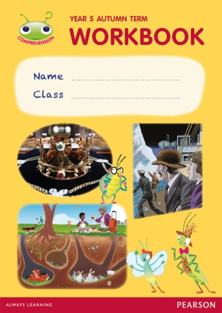 Bug Club Pro Guided Y5 Term 1 Pupil Workbook-9780435185909