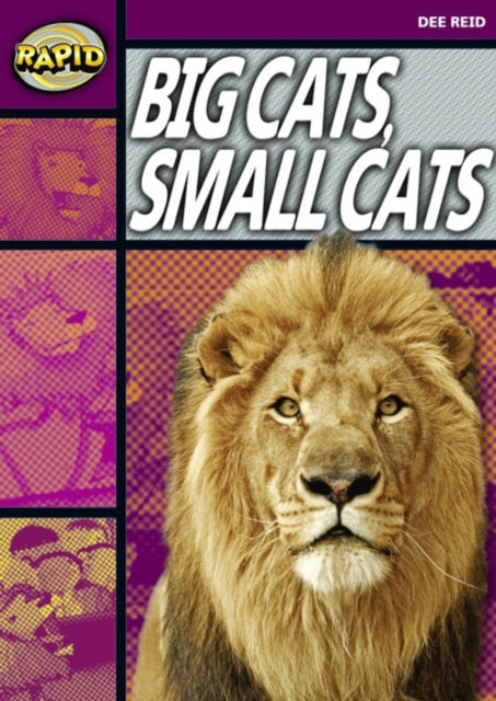 Rapid Reading: Big Cats Small Cats (Stage 1, Level 1A)-9780435907846