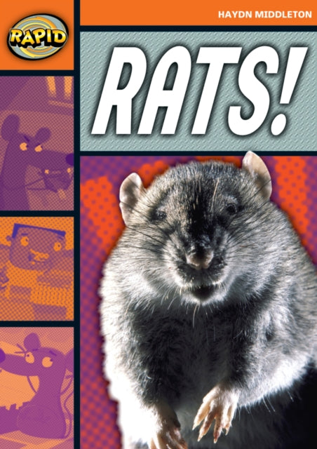 Rapid Reading: Rats! (Stage 4, Level 4B)-9780435908171