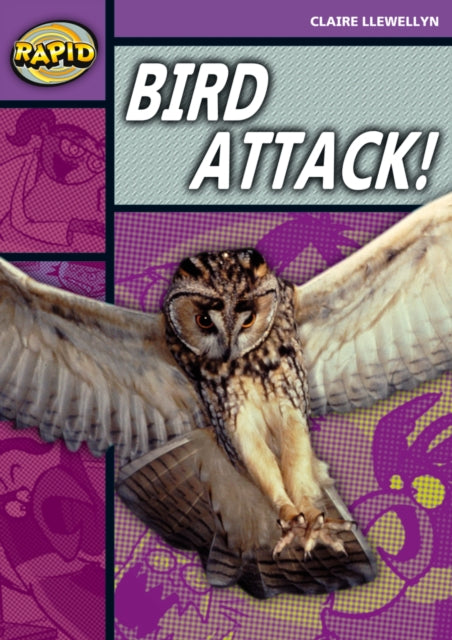 Rapid Reading: Bird Attack! (Stage 1, Level B)-9780435910204
