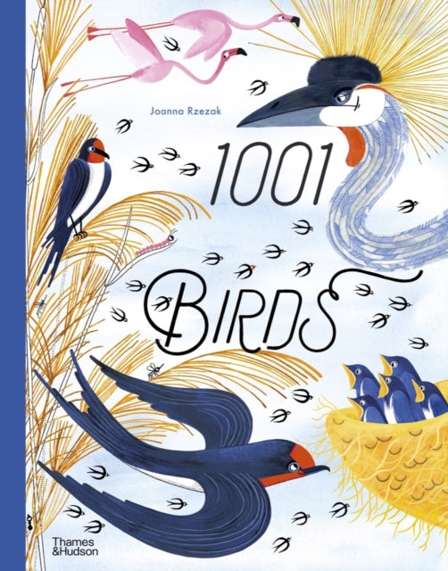 1001 Birds-9780500653241