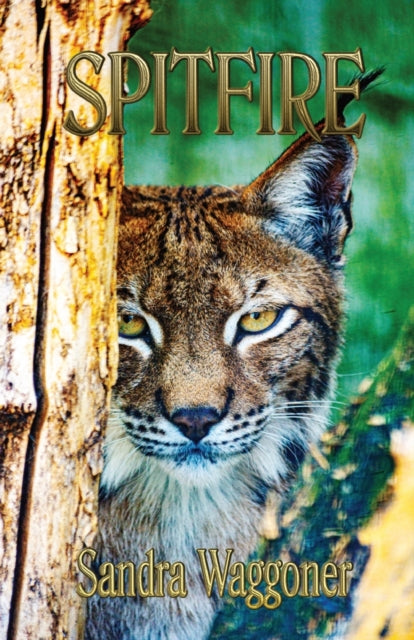 Spitfire-9780578550565